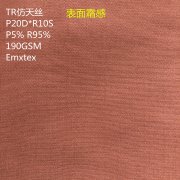 <b>单丝涤人棉 平纹 T/R仿天丝 砂洗 霜感</b>