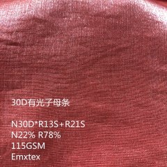 <b>30D尼龙人棉有光子母条</b>